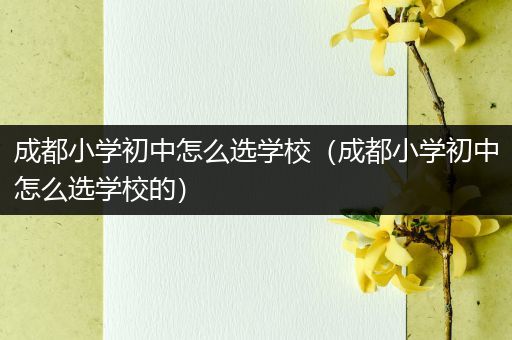 成都小学初中怎么选学校（成都小学初中怎么选学校的）