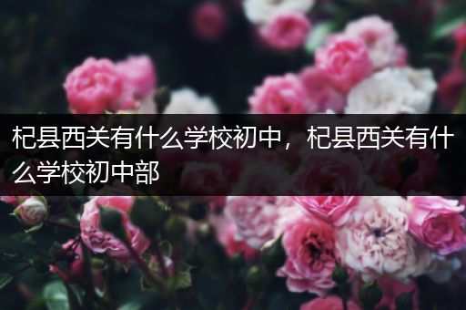 杞县西关有什么学校初中，杞县西关有什么学校初中部