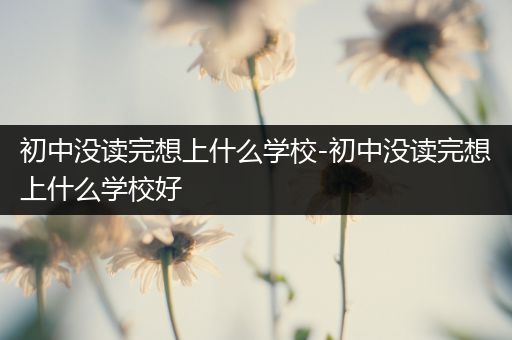 初中没读完想上什么学校-初中没读完想上什么学校好