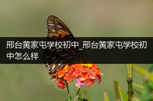 邢台黄家屯学校初中_邢台黄家屯学校初中怎么样