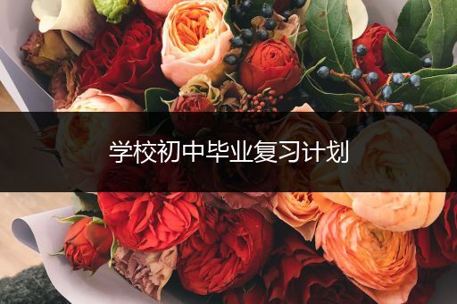 学校初中毕业复习计划