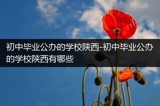 初中毕业公办的学校陕西-初中毕业公办的学校陕西有哪些