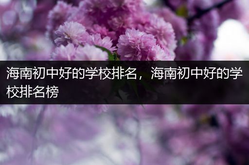 海南初中好的学校排名，海南初中好的学校排名榜