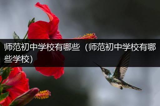 师范初中学校有哪些（师范初中学校有哪些学校）