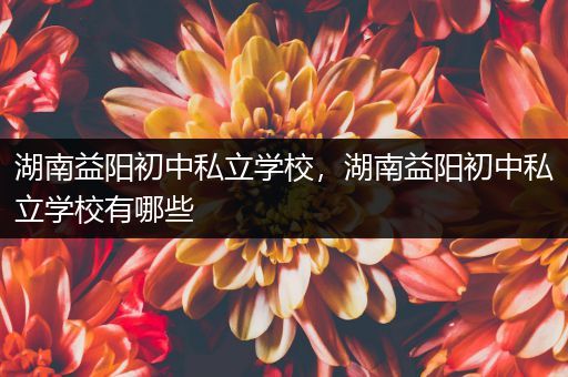 湖南益阳初中私立学校，湖南益阳初中私立学校有哪些