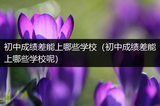 初中成绩差能上哪些学校（初中成绩差能上哪些学校呢）