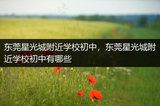 东莞星光城附近学校初中，东莞星光城附近学校初中有哪些