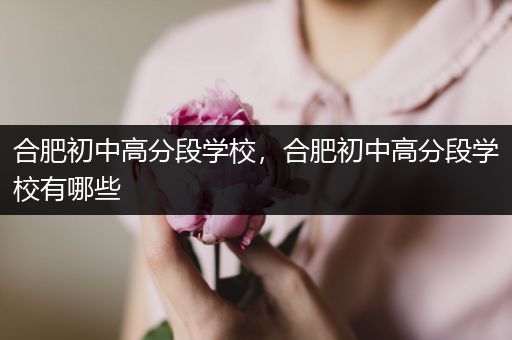 合肥初中高分段学校，合肥初中高分段学校有哪些