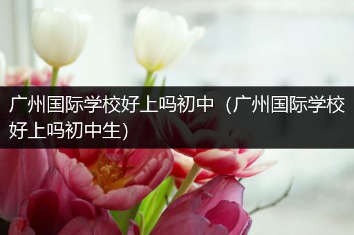 广州国际学校好上吗初中（广州国际学校好上吗初中生）