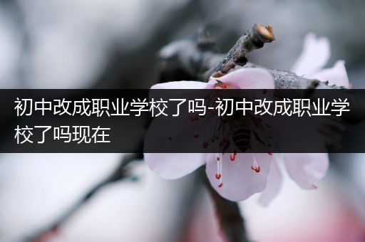 初中改成职业学校了吗-初中改成职业学校了吗现在