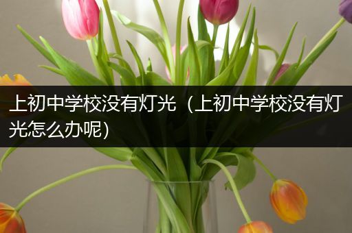 上初中学校没有灯光（上初中学校没有灯光怎么办呢）