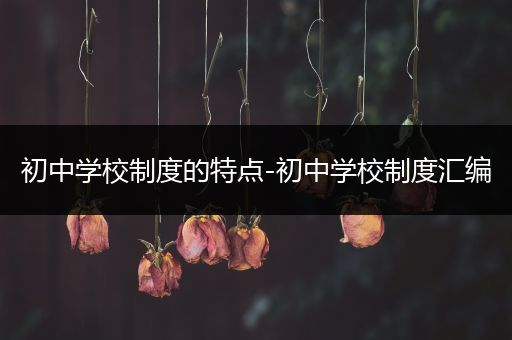 初中学校制度的特点-初中学校制度汇编