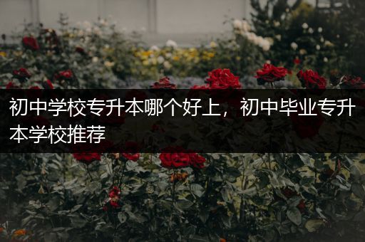 初中学校专升本哪个好上，初中毕业专升本学校推荐