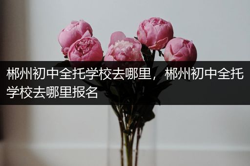 郴州初中全托学校去哪里，郴州初中全托学校去哪里报名