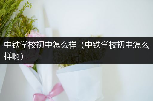 中铁学校初中怎么样（中铁学校初中怎么样啊）