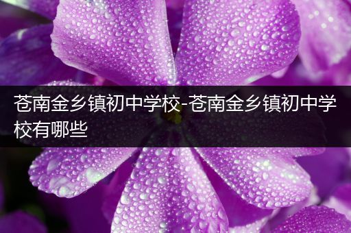 苍南金乡镇初中学校-苍南金乡镇初中学校有哪些
