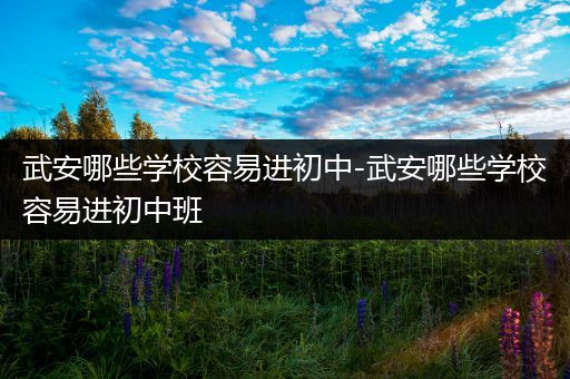 武安哪些学校容易进初中-武安哪些学校容易进初中班