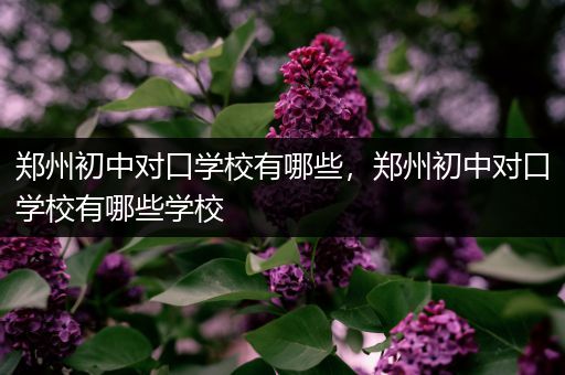 郑州初中对口学校有哪些，郑州初中对口学校有哪些学校