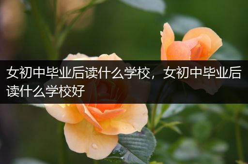 女初中毕业后读什么学校，女初中毕业后读什么学校好