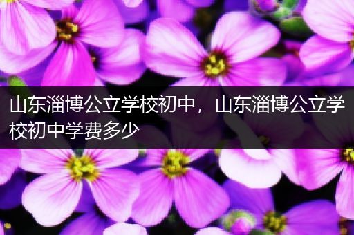 山东淄博公立学校初中，山东淄博公立学校初中学费多少