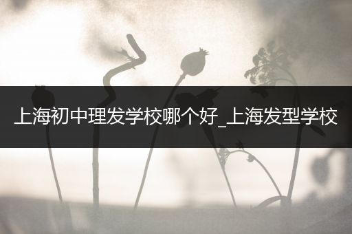 上海初中理发学校哪个好_上海发型学校