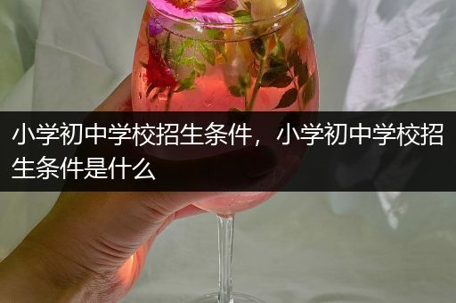 小学初中学校招生条件，小学初中学校招生条件是什么