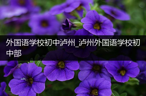 外国语学校初中泸州_泸州外国语学校初中部