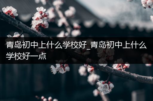 青岛初中上什么学校好_青岛初中上什么学校好一点