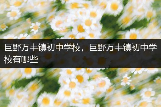 巨野万丰镇初中学校，巨野万丰镇初中学校有哪些