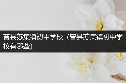 曹县苏集镇初中学校（曹县苏集镇初中学校有哪些）