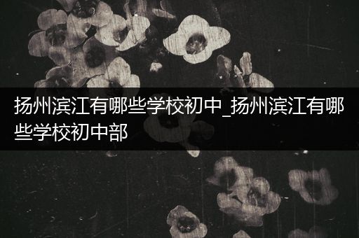 扬州滨江有哪些学校初中_扬州滨江有哪些学校初中部