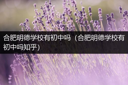 合肥明德学校有初中吗（合肥明德学校有初中吗知乎）