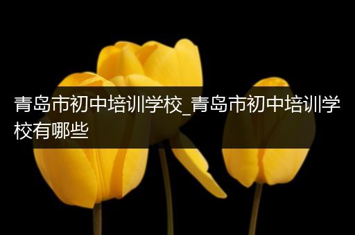 青岛市初中培训学校_青岛市初中培训学校有哪些