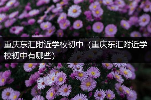 重庆东汇附近学校初中（重庆东汇附近学校初中有哪些）