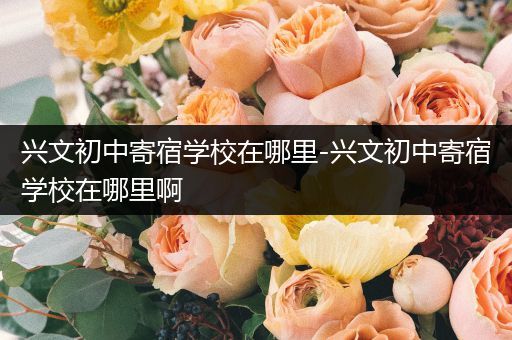 兴文初中寄宿学校在哪里-兴文初中寄宿学校在哪里啊