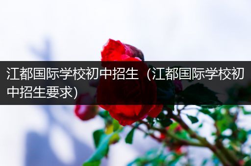 江都国际学校初中招生（江都国际学校初中招生要求）