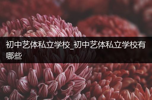 初中艺体私立学校_初中艺体私立学校有哪些