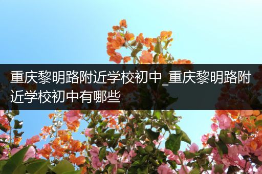 重庆黎明路附近学校初中_重庆黎明路附近学校初中有哪些