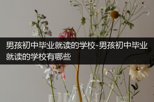 男孩初中毕业就读的学校-男孩初中毕业就读的学校有哪些