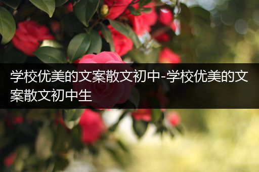学校优美的文案散文初中-学校优美的文案散文初中生