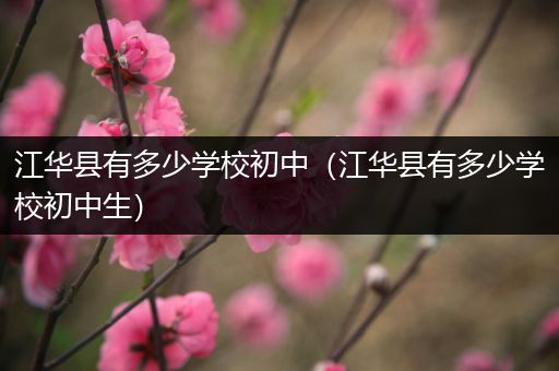 江华县有多少学校初中（江华县有多少学校初中生）