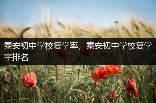 泰安初中学校复学率，泰安初中学校复学率排名