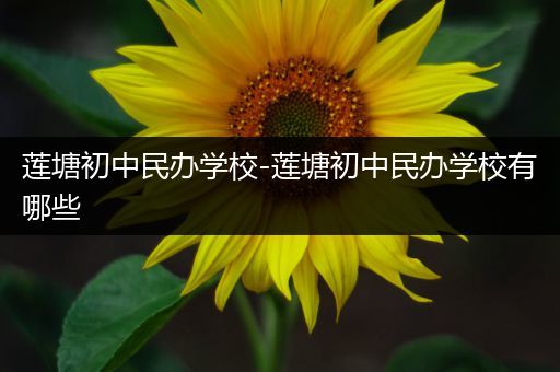 莲塘初中民办学校-莲塘初中民办学校有哪些