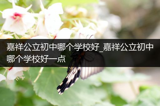 嘉祥公立初中哪个学校好_嘉祥公立初中哪个学校好一点