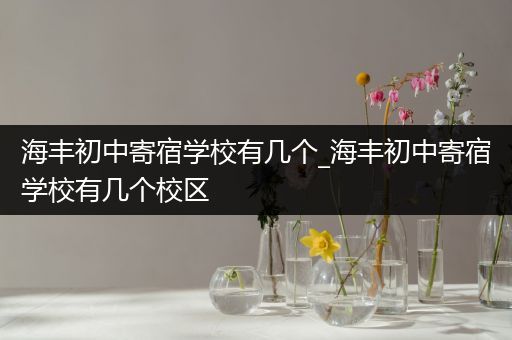 海丰初中寄宿学校有几个_海丰初中寄宿学校有几个校区
