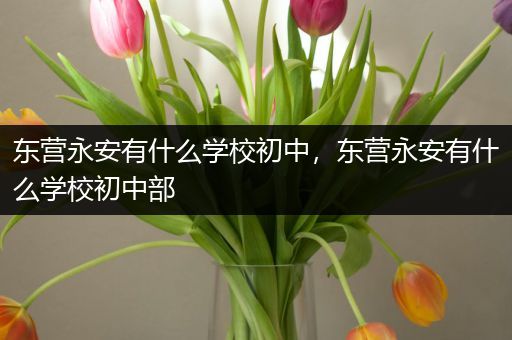 东营永安有什么学校初中，东营永安有什么学校初中部