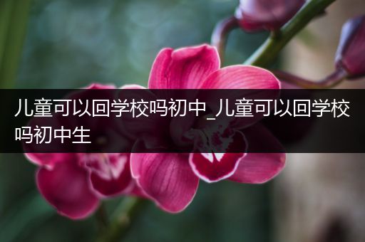 儿童可以回学校吗初中_儿童可以回学校吗初中生