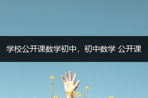 学校公开课数学初中，初中数学 公开课