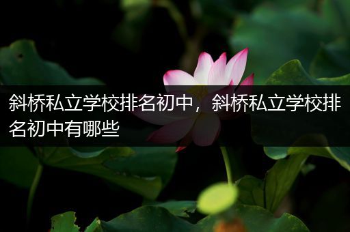 斜桥私立学校排名初中，斜桥私立学校排名初中有哪些
