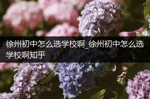 徐州初中怎么选学校啊_徐州初中怎么选学校啊知乎